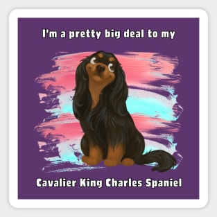 I'm a pretty big deal to my Cavalier King Charles Spaniel, Black and Tan Magnet